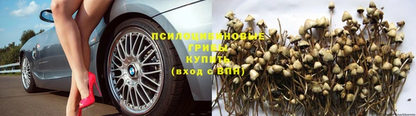 кокаин перу Аркадак