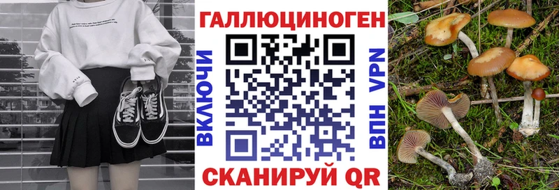 наркотики  Няндома  Галлюциногенные грибы мицелий 