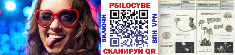 Псилоцибиновые грибы Psilocybine cubensis Няндома